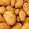 Potato People King