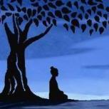 Beginner Mind