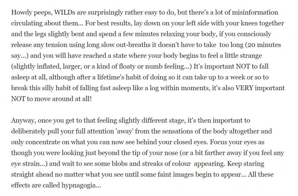 WILD-1.jpg