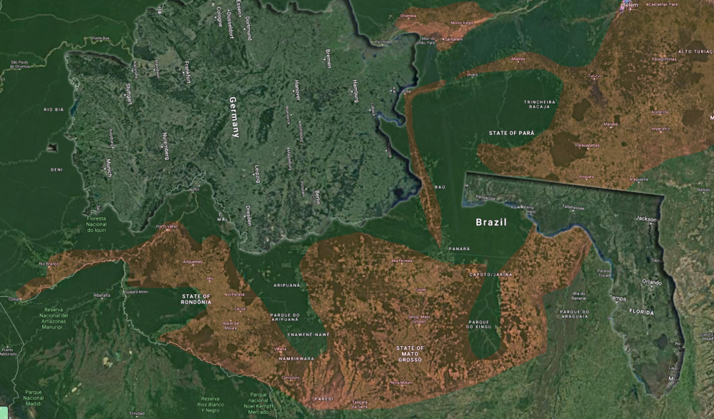 Amazon deforestation map.png