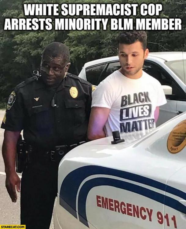 white-supremacist-cop-arrests-minority-blm-member-memes-black-lives-matter-2.jpg