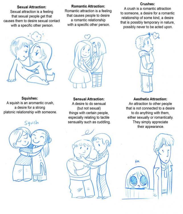 types of attraction.jpg
