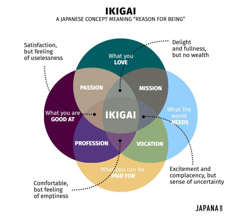 ikigai-a-concept-of-japanese-happiness-fullfilled-life.jpg