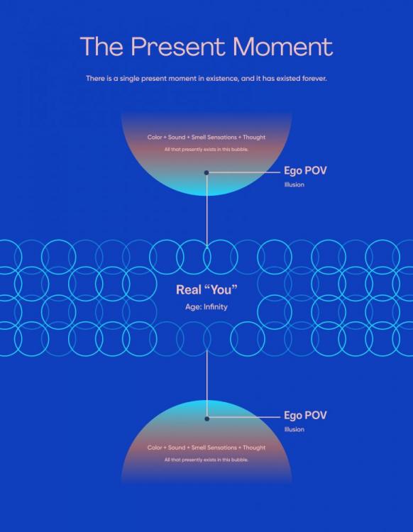 Infographic (3).jpg