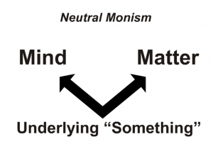 Neutral-monism-300x210.png