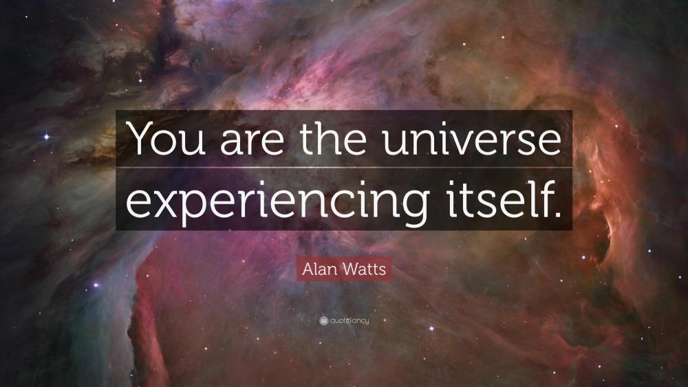 59273-Alan-Watts-Quote-You-are-the-universe-experiencing-itself.jpg