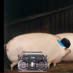 Rapping_pigs.PNG.png