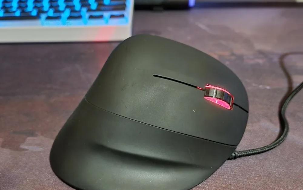 mouse.jpg