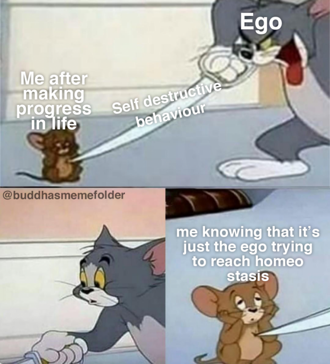 ego backlash.png