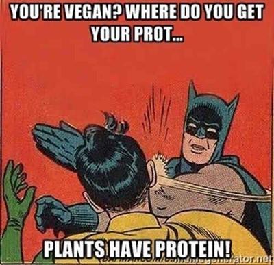 protein 1.jpg