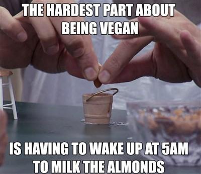 memes-vegan-milk.jpg