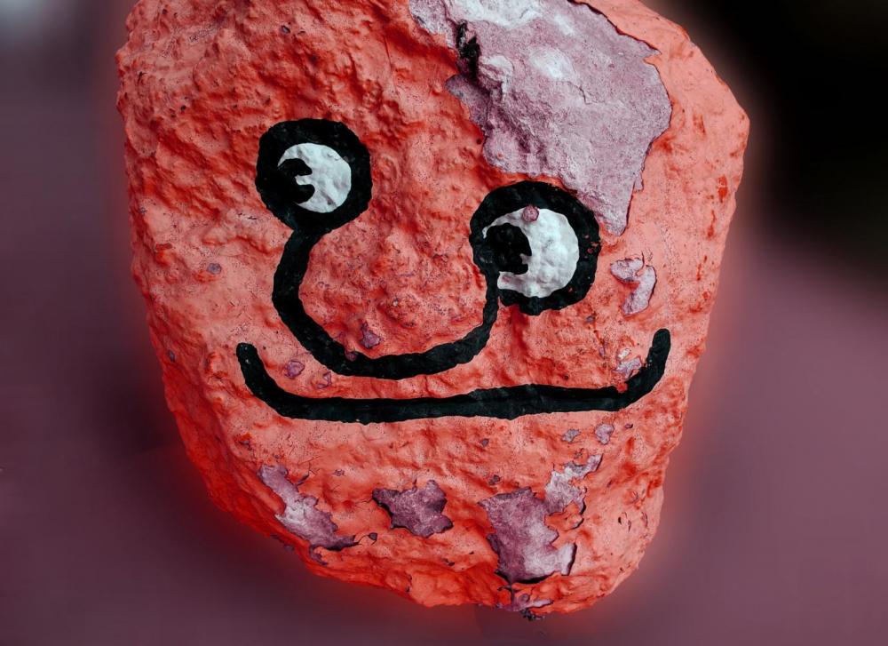 funny-face-on-rock-1555472399uR0.jpg