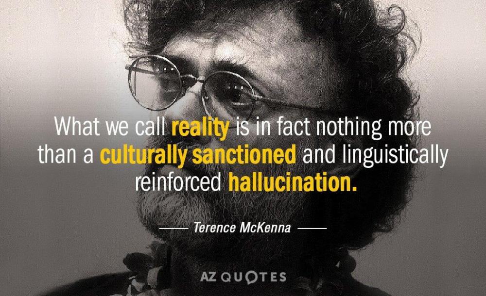 Quotation-Terence-McKenna-What-we-call-reality-is-in-fact-nothing-more-than-122-70-66.jpg