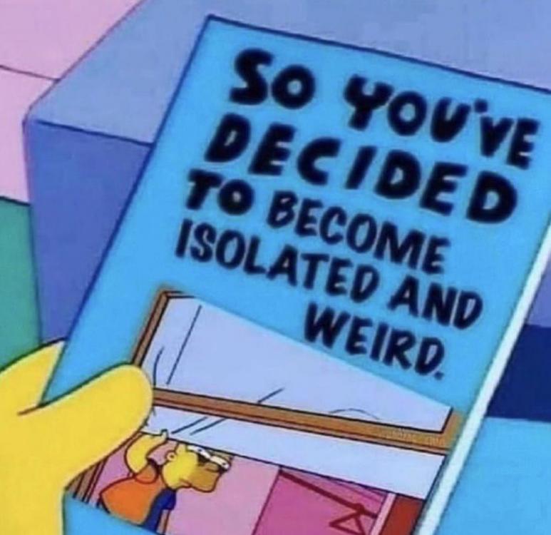 so you've decided to become isolated and weird.jpg