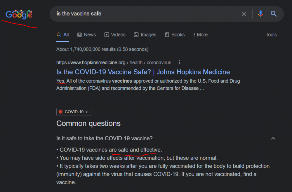 google vaccine safe.PNG
