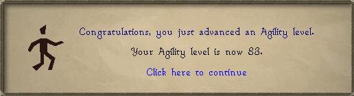 Agility 83.jpg