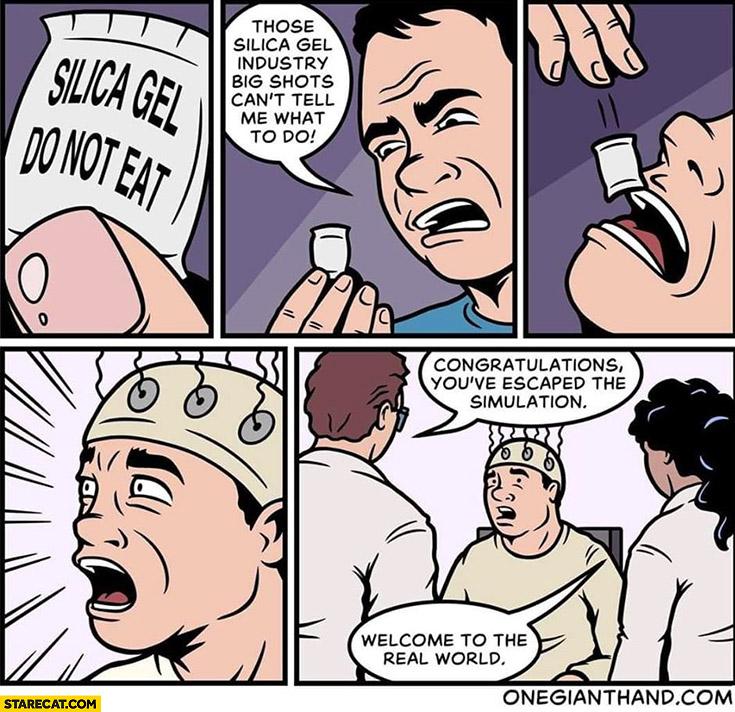 silica-gel-do-not-eat-congratulations-youve-escaped-the-simulation-welcome-to-the-real-world-comic.jpg