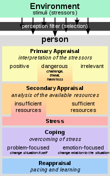 Transactional_Model_of_Stress_and_Coping_-_Richard_Lazarus.svg.png