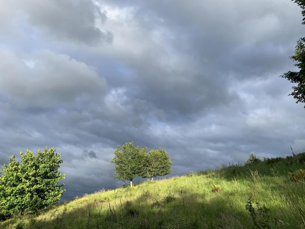 Powell butte 5-16-22.jpg