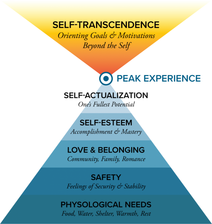 Transcendence_Hierarchy.thumb.png.5b59dfb226ff0139af5c9cae837b9ab9.png