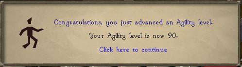 Agility 90.JPG