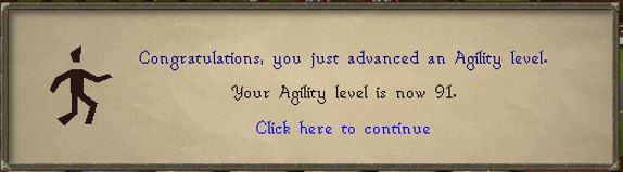 Agility 91.JPG