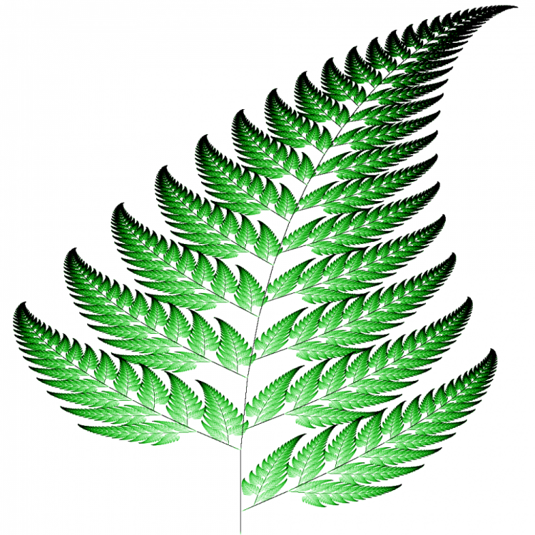 Barnsley_fern_1024x1024.png