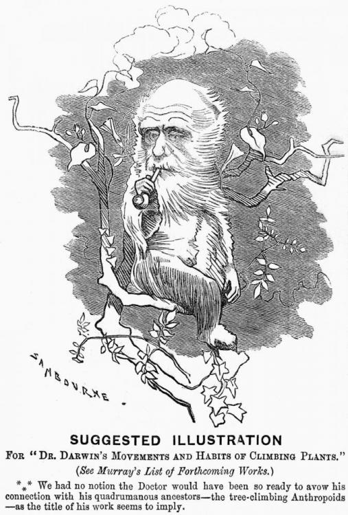 cartoon-Movements-Habits-Dr-Darwin-The-Movement-1875.jpg