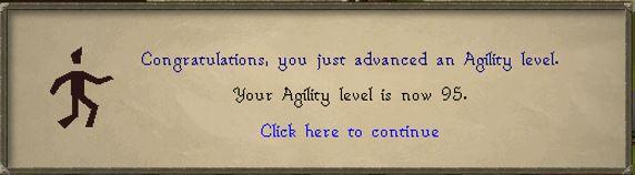 95 agility.JPG