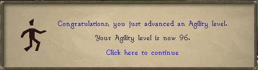 96 Agility.JPG