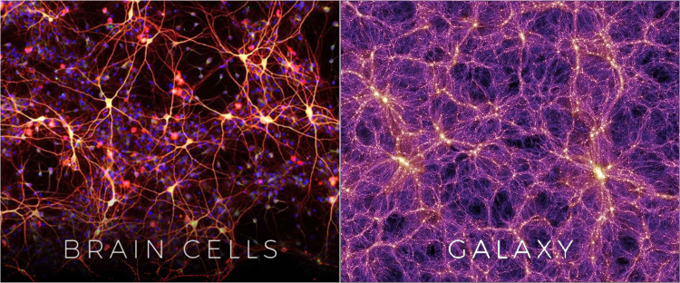 A27zfigure-cell-galaxy-comparison2.png
