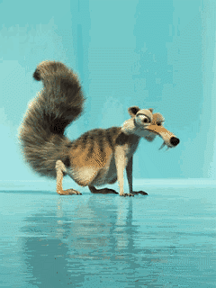squirrel-animated-gif-55_converted.gif