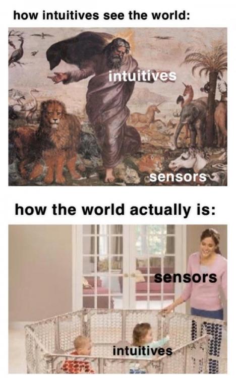 sensors intuitives.jpg