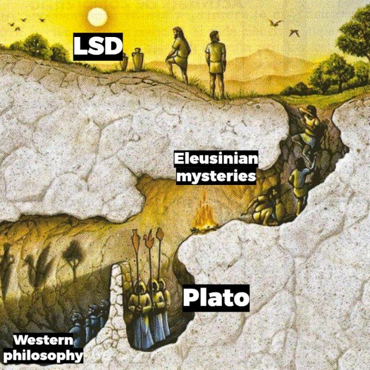 LSD plato.jpg