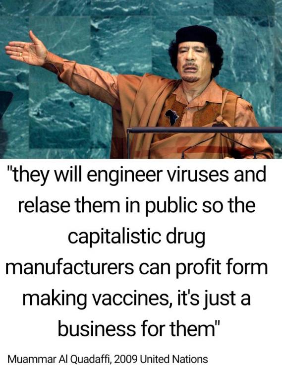 gaddafi virus business quote.jpg