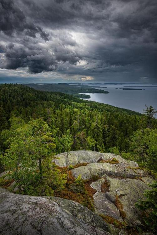 koli-national-park-finland.jpg