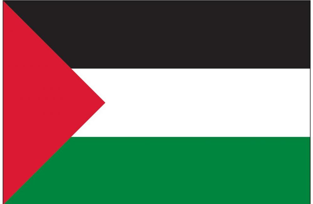 2x3-palestine-flag-image__03054.jpg