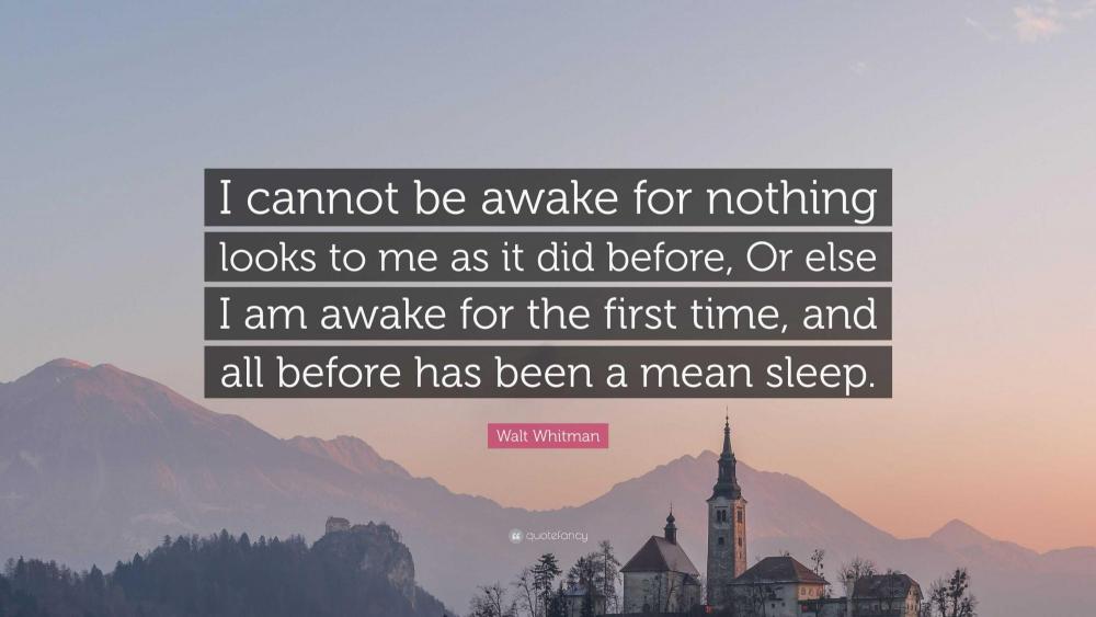 2757140-Walt-Whitman-Quote-I-cannot-be-awake-for-nothing-looks-to-me-as-it.jpg