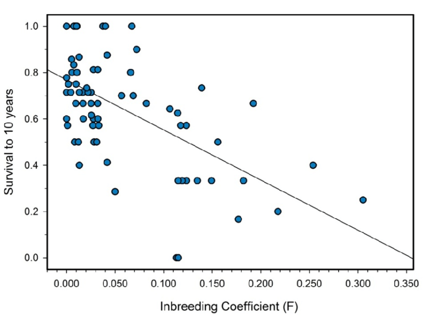 Survival-and-inbreeding-coefficient-F-of-offspring-of-71-marriages-from-the-Habsburg.png