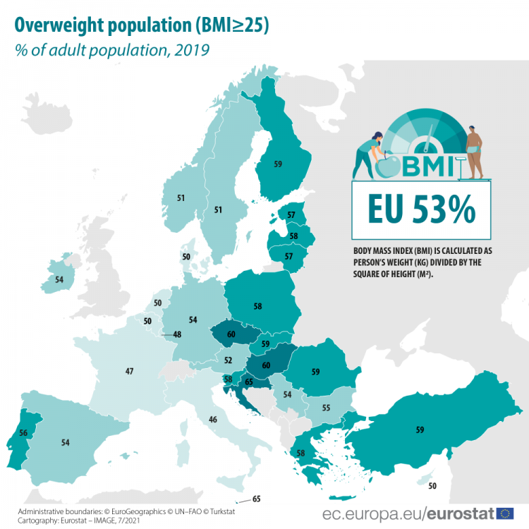 Overweight population_map.png