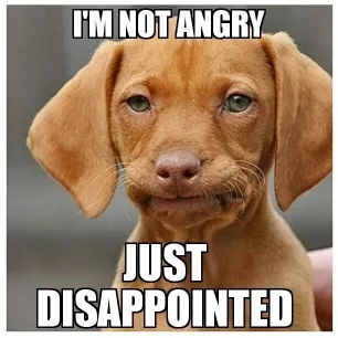 22-im-not-angry-dog-disappointed-meme.jpg