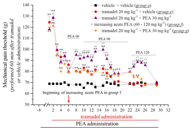 pharmaceutics-14-00403-g002.jpg