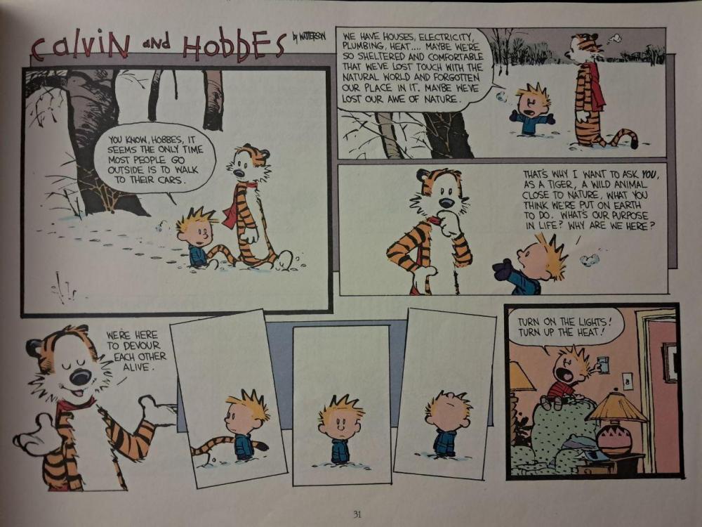 calvin truth 2.jpg