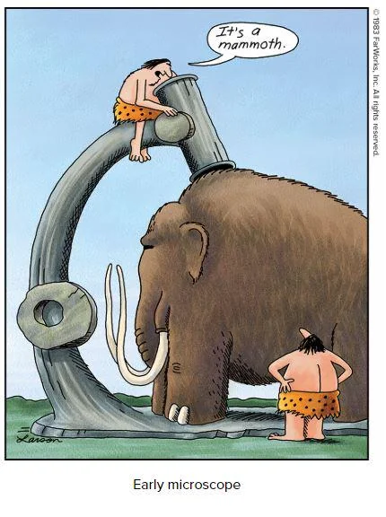 pre-history-advanced-science-v0-blmco2c30vne1.png