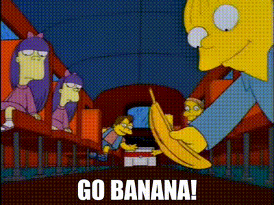 05e8b525-493d-42d7-b674-68d8098ca864_text.gif