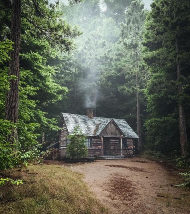 Houe in the Woods.jpeg