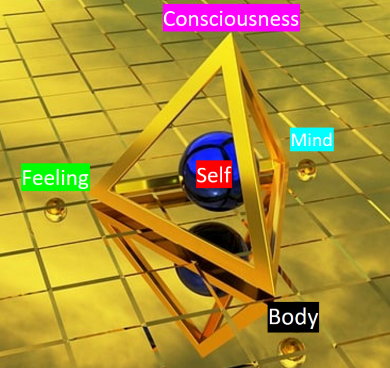 Human-Development.png