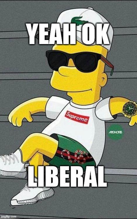 yeah ok liberal.jpg