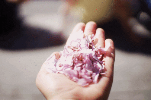 giphy (1).gif