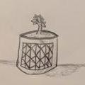 Puer Aeternus